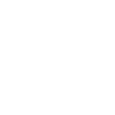 VINT1